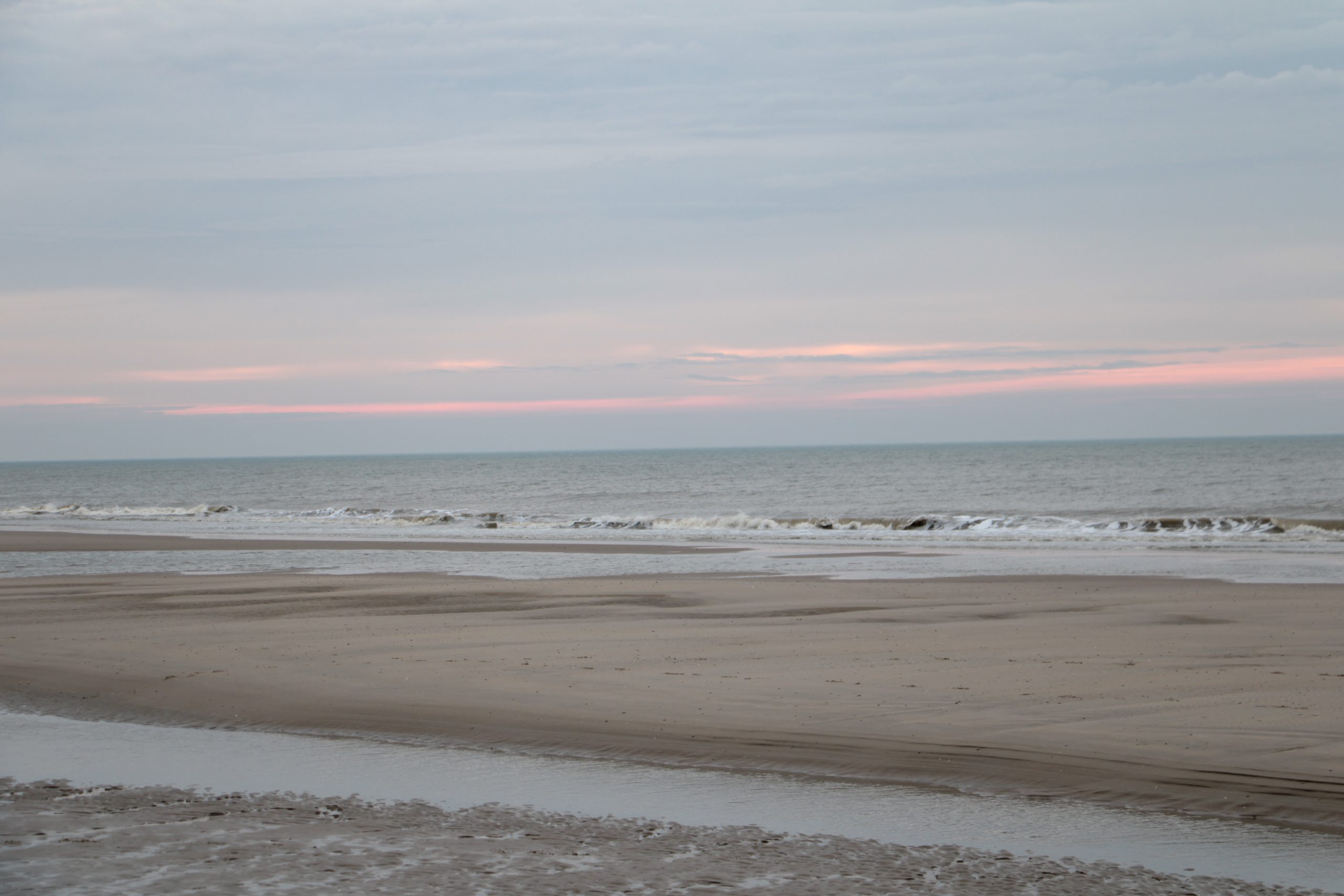 IMG_1437 IMG_1437